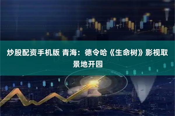 炒股配资手机版 青海：德令哈《生命树》影视取景地开园