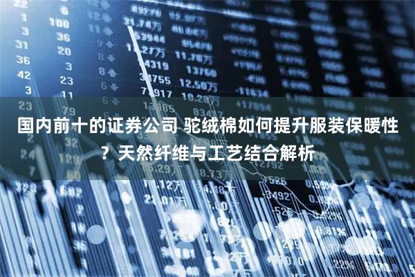 国内前十的证券公司 驼绒棉如何提升服装保暖性？天然纤维与工艺结合解析